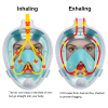 AntiFog i szerokie pole widzenia 180° — maska snorkelingowa POINT